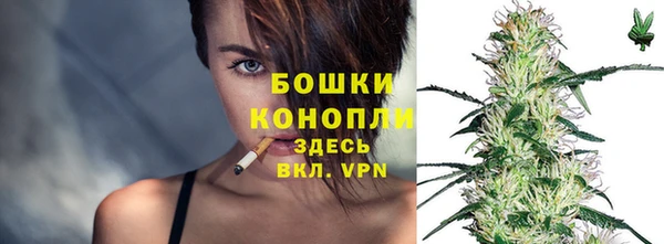 бошки Белокуриха