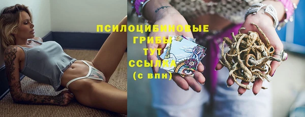 дмт Беломорск